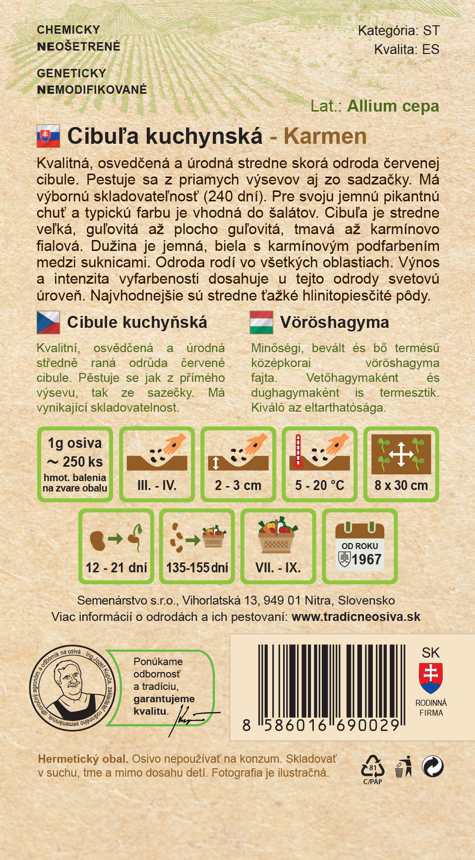 Cibuľa kuchynská – Obrázok 2