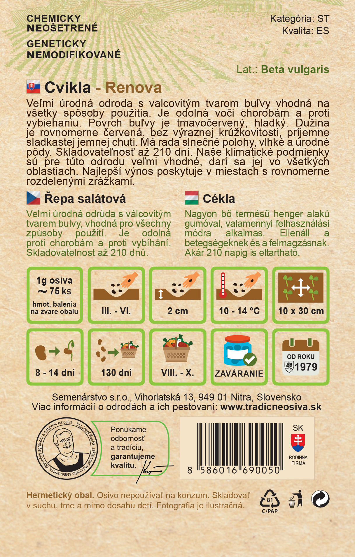 Cvikla – Obrázok 2