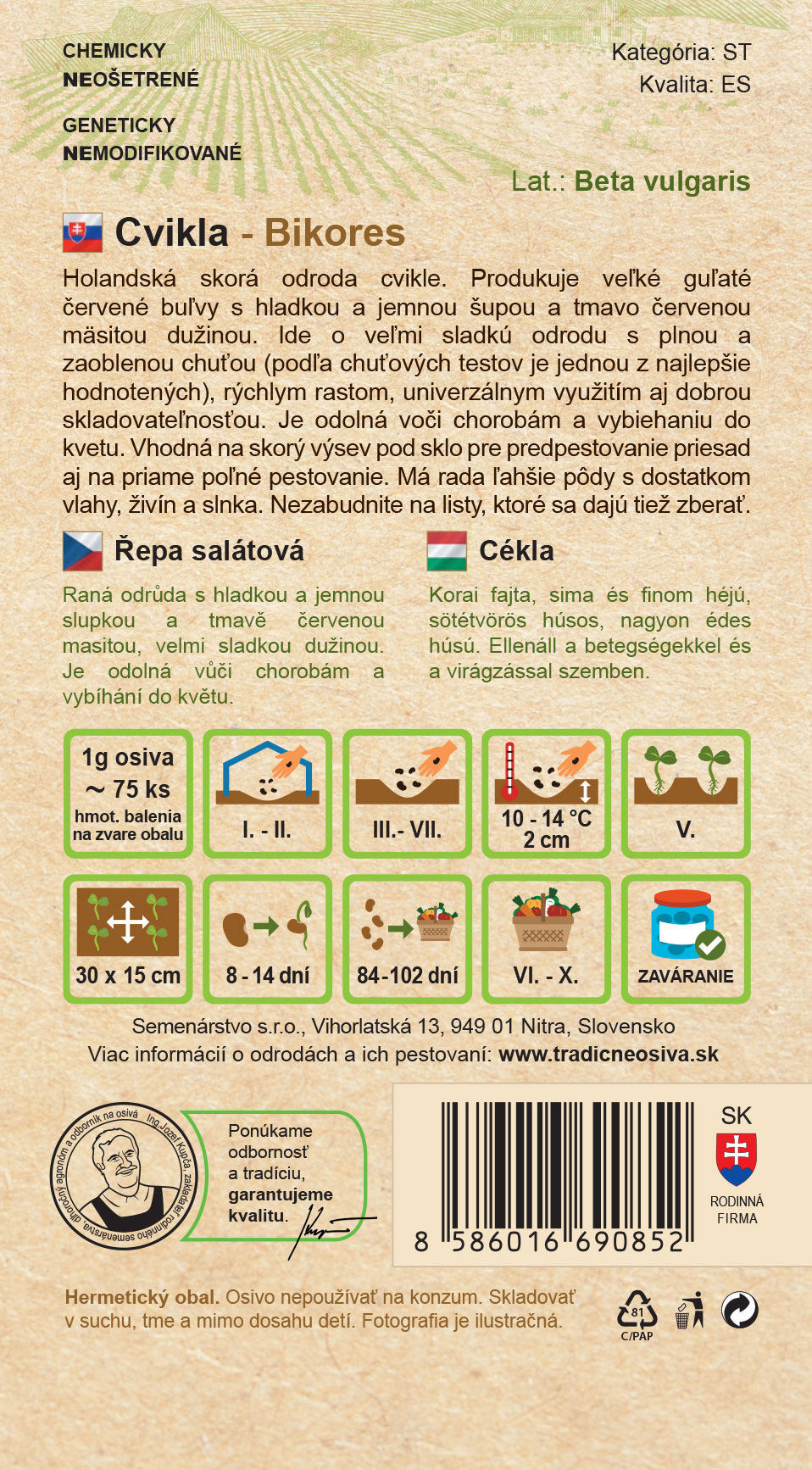 Cvikla – Obrázok 2