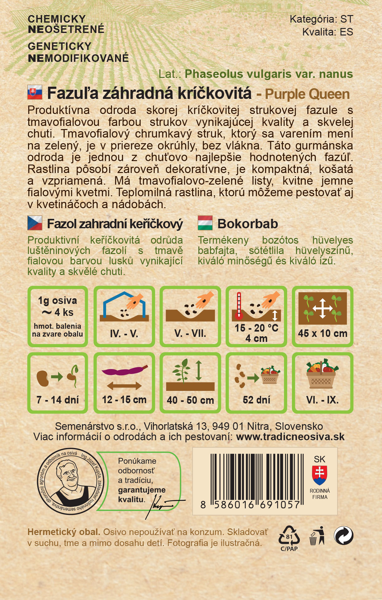 Fazuľa záhradná kríčkovitá – Obrázok 2