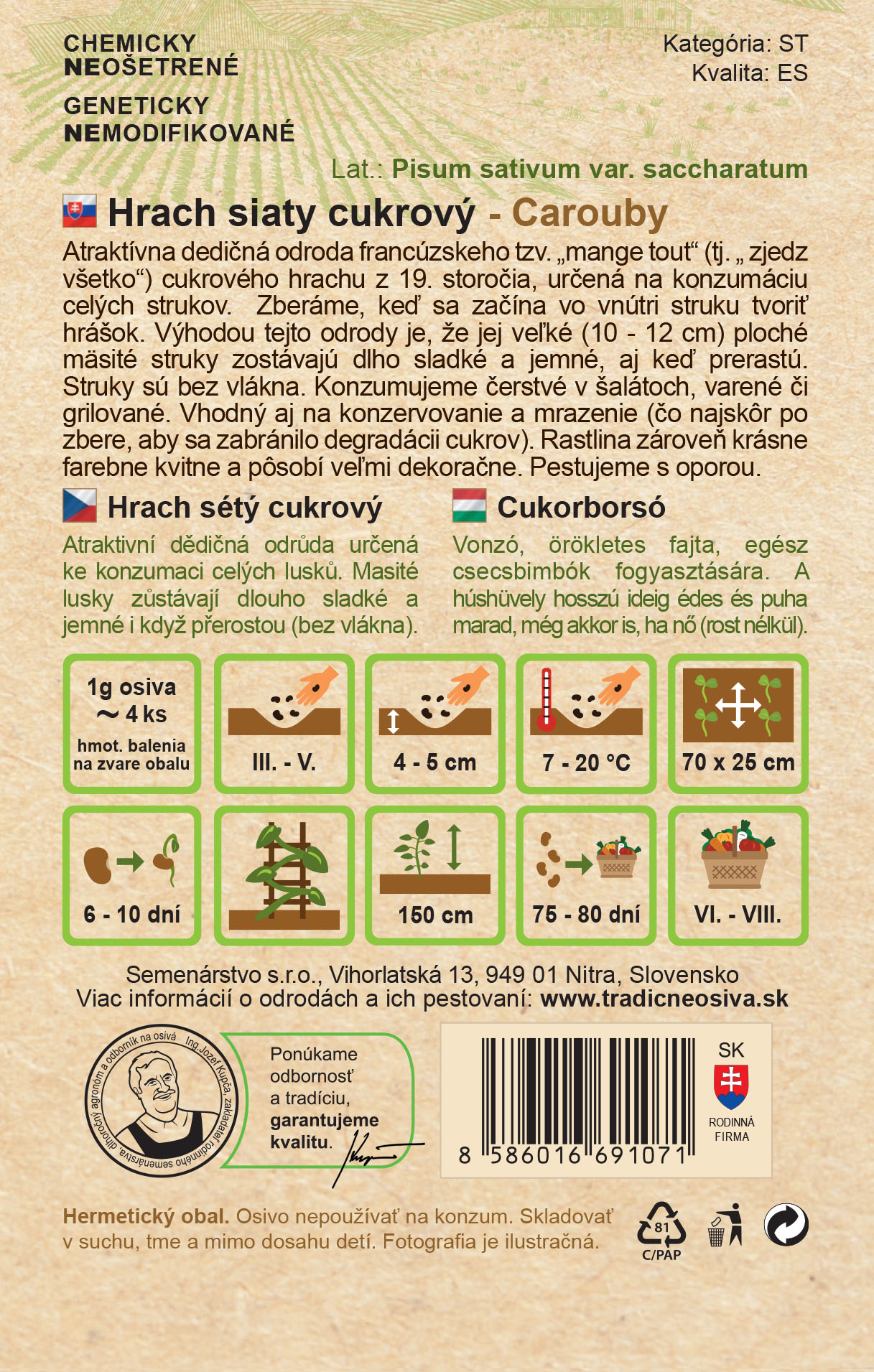 Hrach siaty cukrový – Obrázok 2