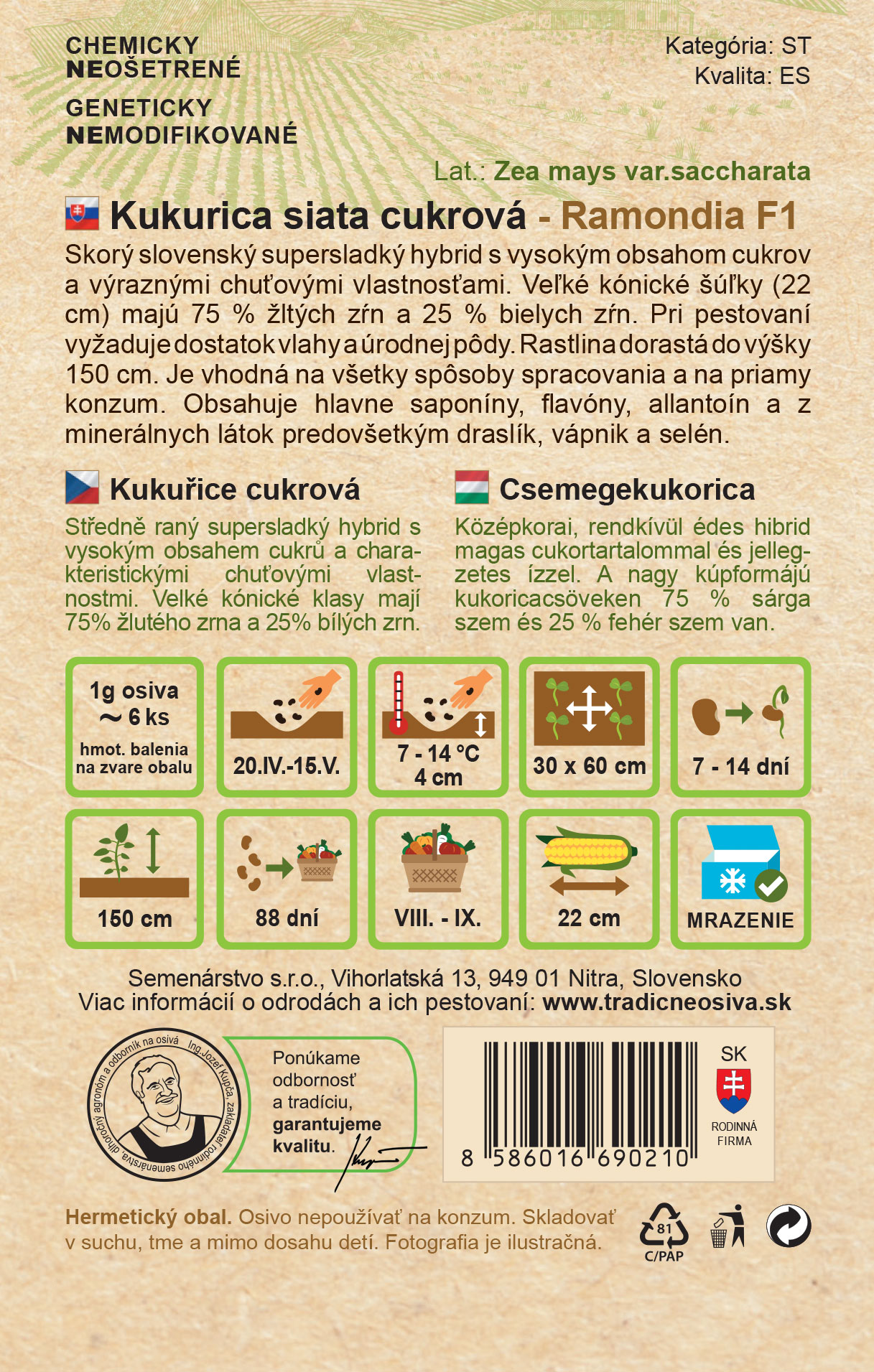 Kukurica siata cukrová – Obrázok 2
