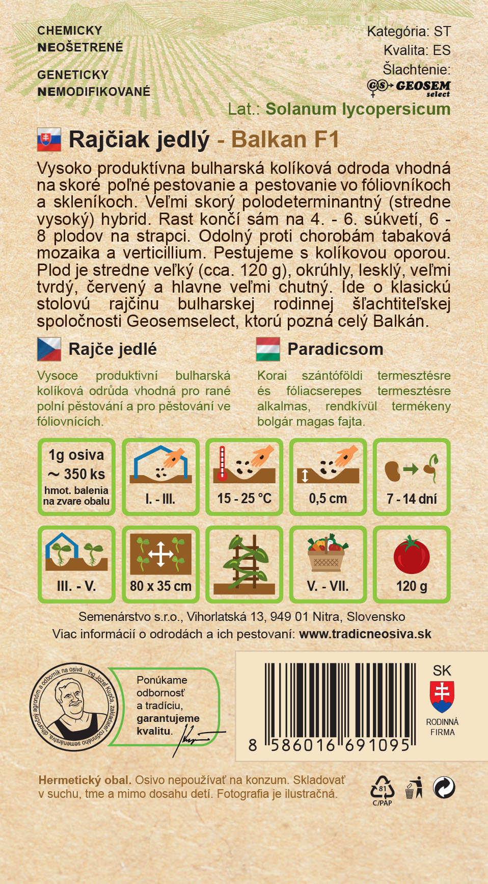 Rajčiak jedlý – Obrázok 2