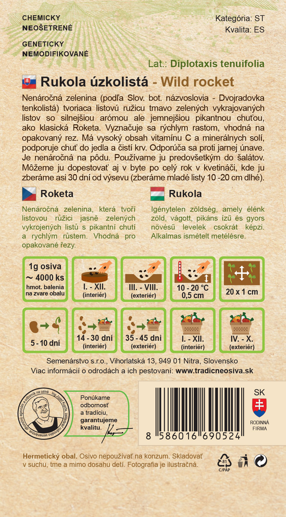 Rukola úzkolistá – Obrázok 2
