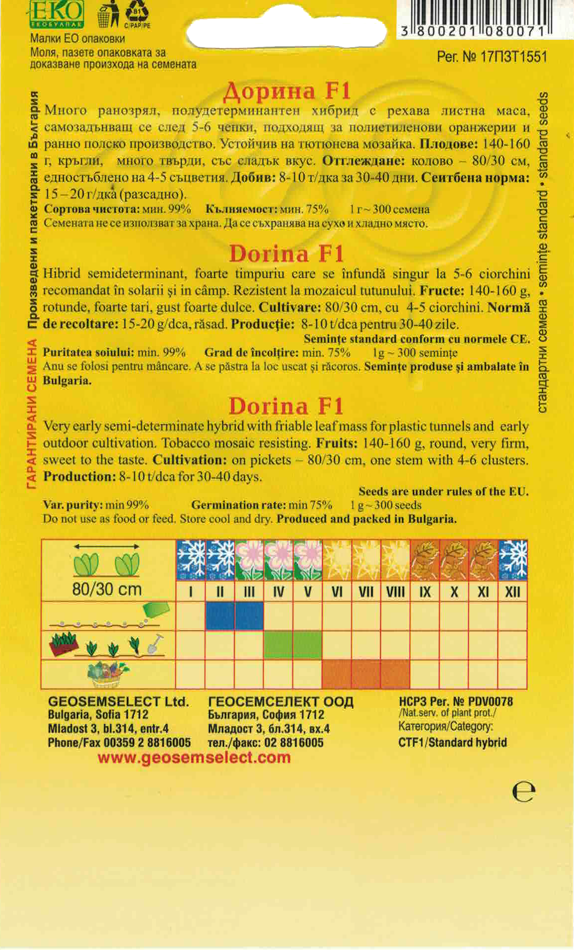 Rajčiak kolíkový – Obrázok 2