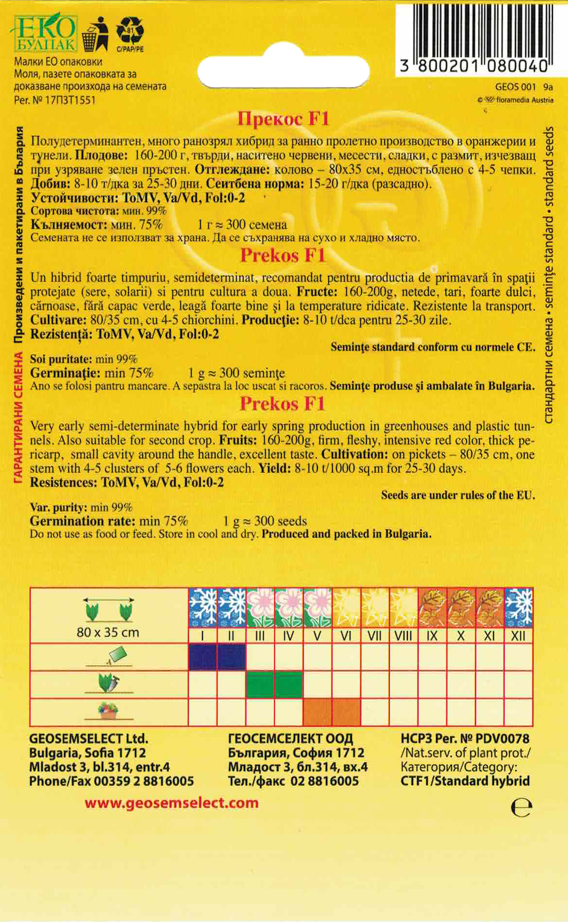 Rajčiak kolíkový – Obrázok 2
