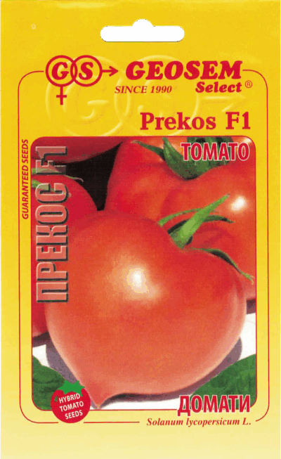 Rajčiak kolíkový