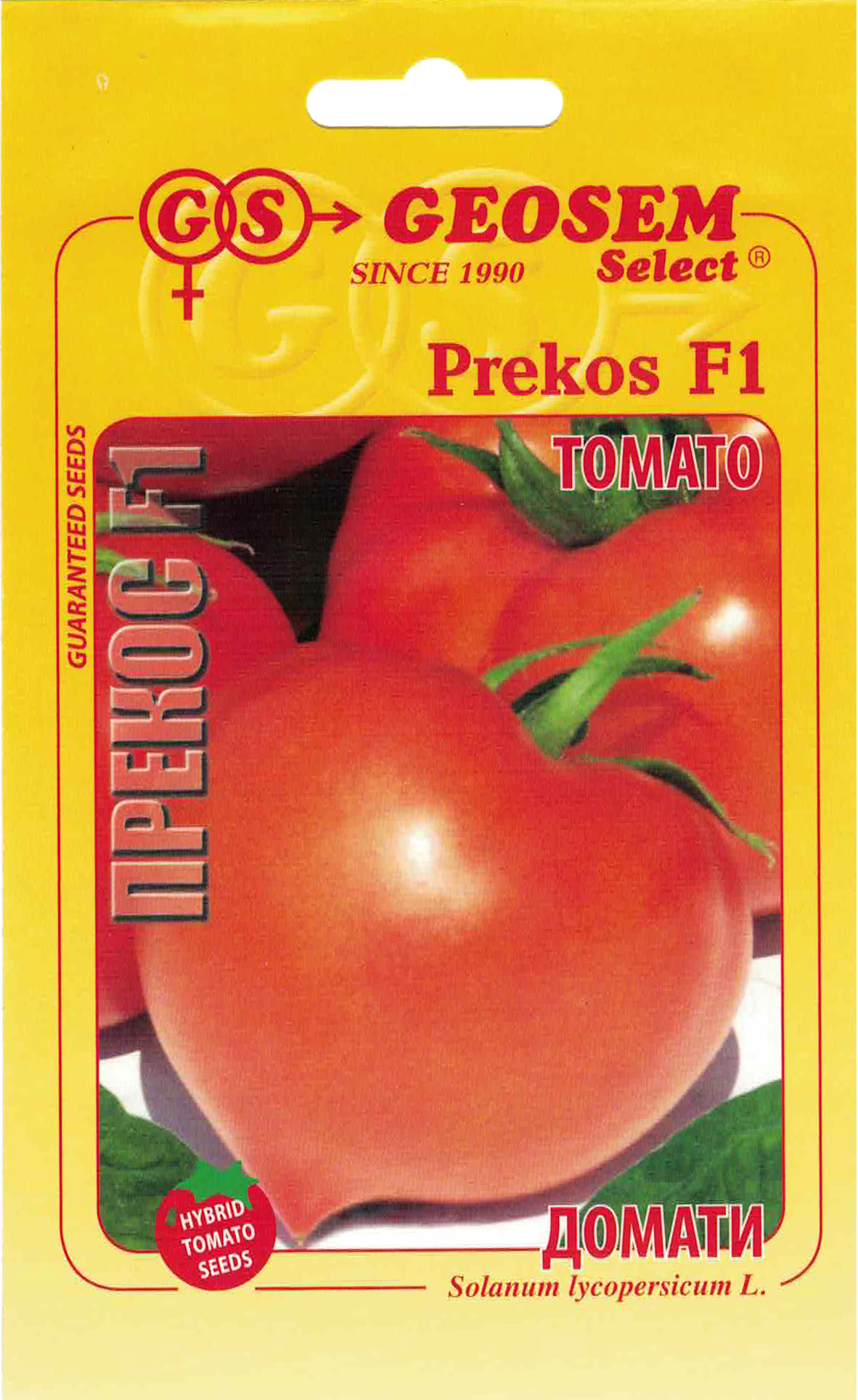 Rajčiak kolíkový