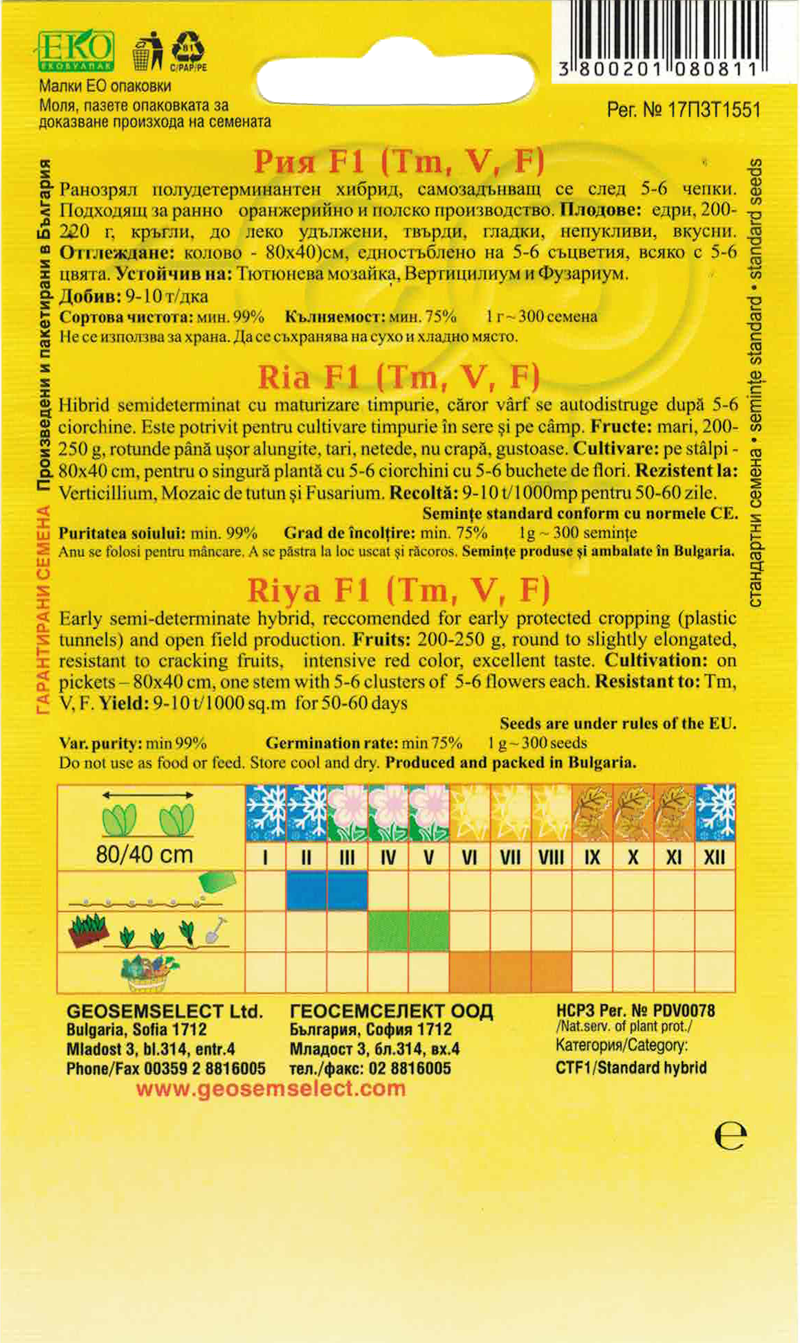 Rajčiak kolíkový – Obrázok 2
