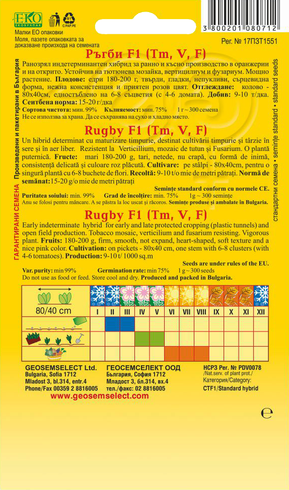 Rajčiak kolíkový – Obrázok 2