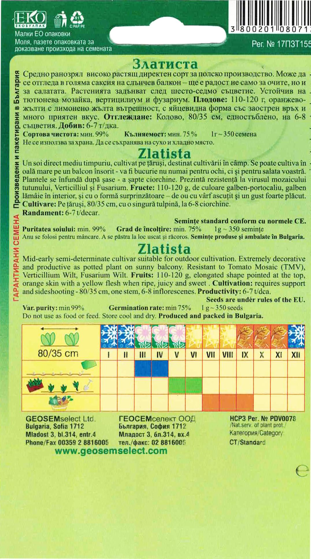 Rajčiak kolíkový – Obrázok 2