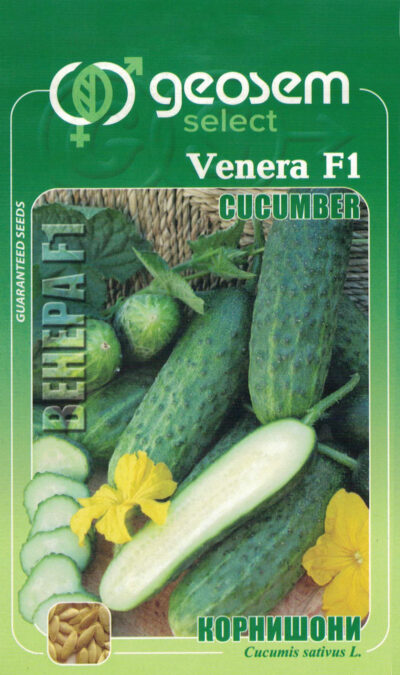 Uhorka nakladačka - Venera F1
